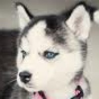 Profilbild för Caroline