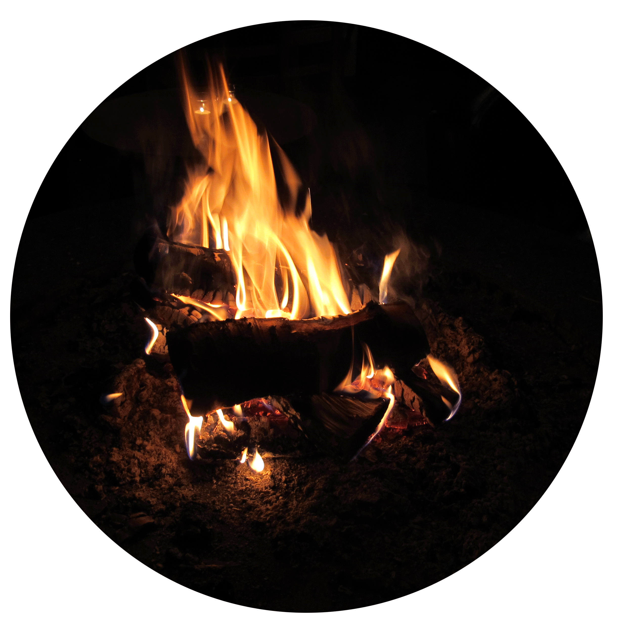 Sportlovsläsning 1984 och 2014- tankar om att läsa i en vidgad textvärld