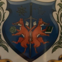 Jonas Halenius profilbild