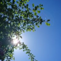 Group logo of Utvecklande läsning med biblioterapi